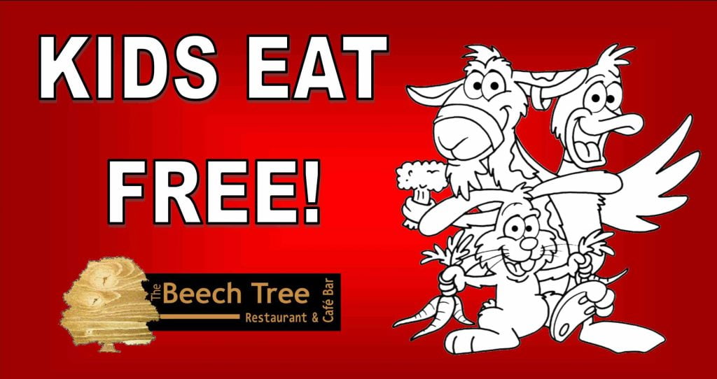 The Beech Tree