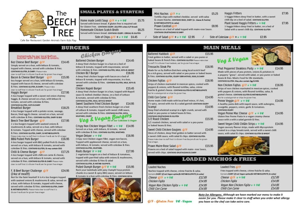 The Beech Tree