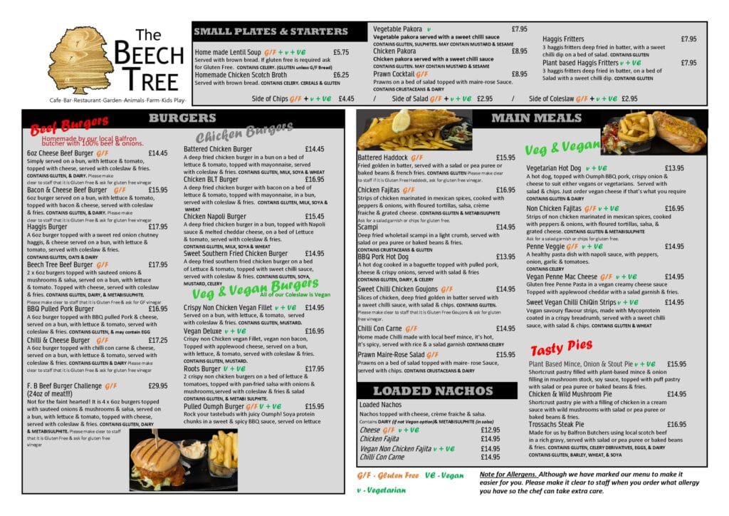 The Beech Tree