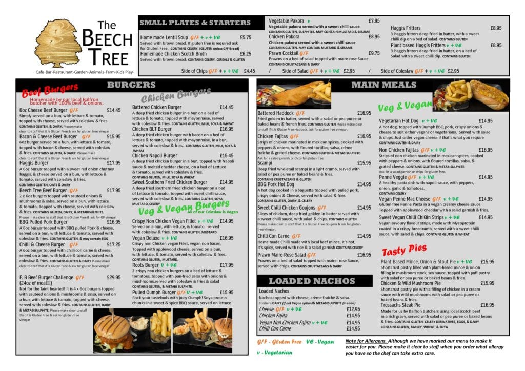 The Beech Tree